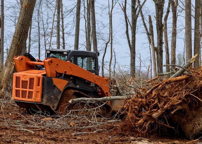 Get Professional Tree Removal And Stump Grinding Services In Pennsylvania.